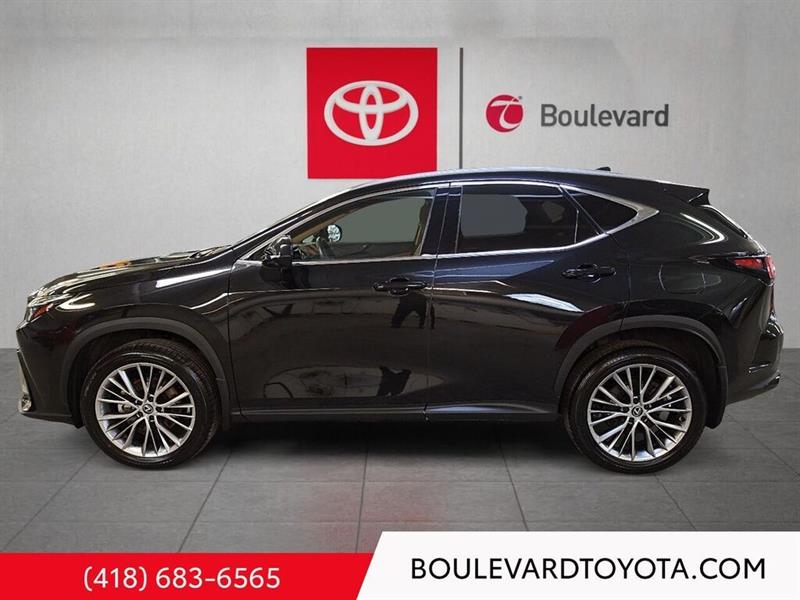 lexus NX 2024 - 6