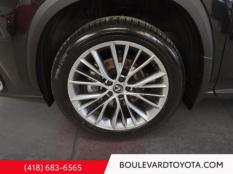 lexus NX 2024 - 7