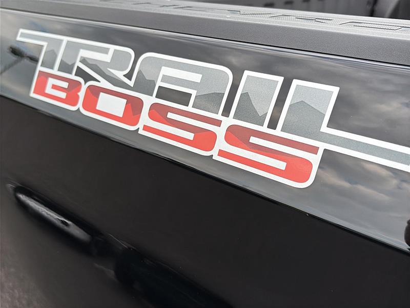 chevrolet Silverado 1500 2024 - 14