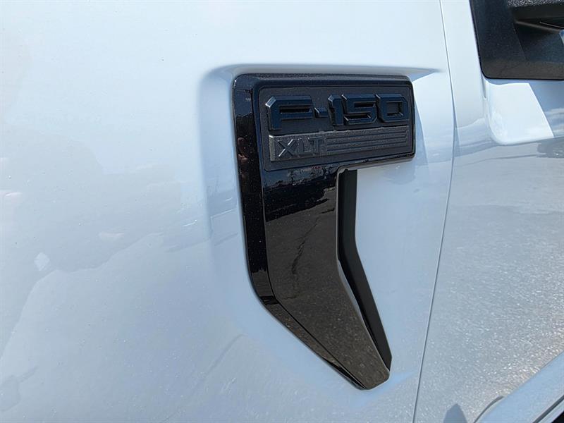 ford F-150 2024 - 16