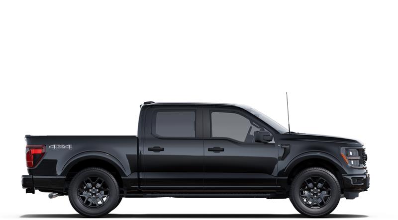 ford F-150 2025 - 5