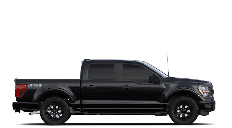 ford F-150 2024 - 5