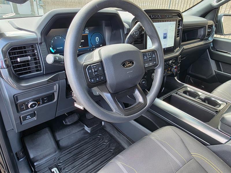 ford F-150 2024 - 19