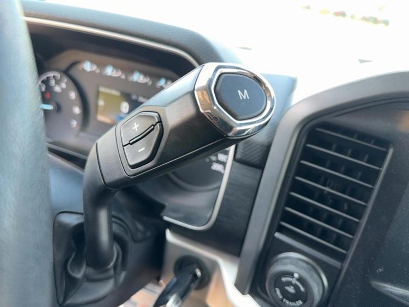 ford F-150 2021 - 13