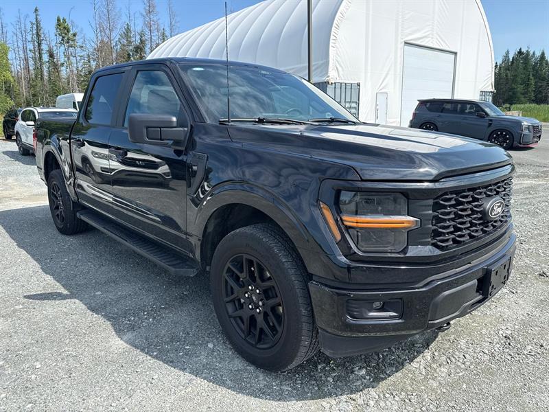 ford F-150 2024 - 3