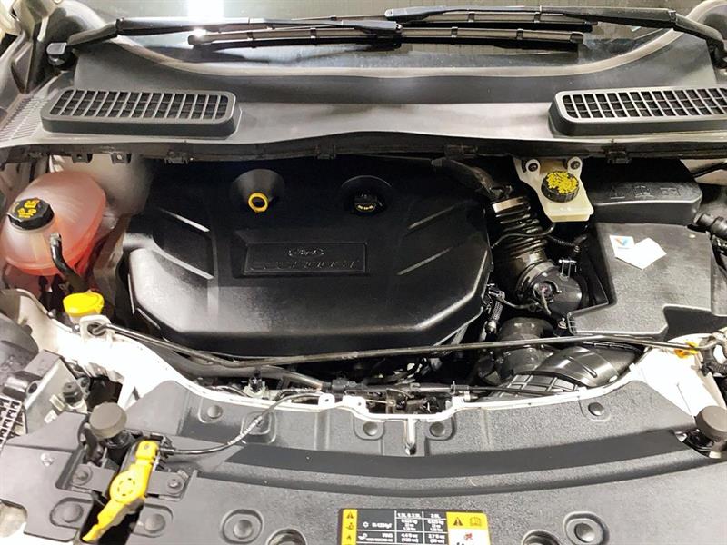 ford Escape 2019 - 7
