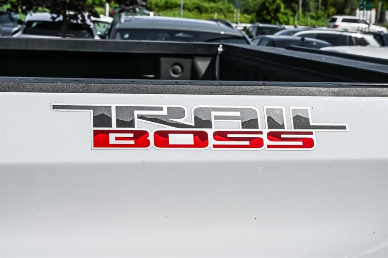 chevrolet Silverado 1500 2024 - 19