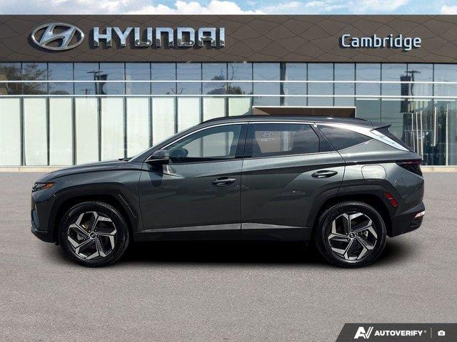 hyundai Tucson Hybrid 2023 - 2