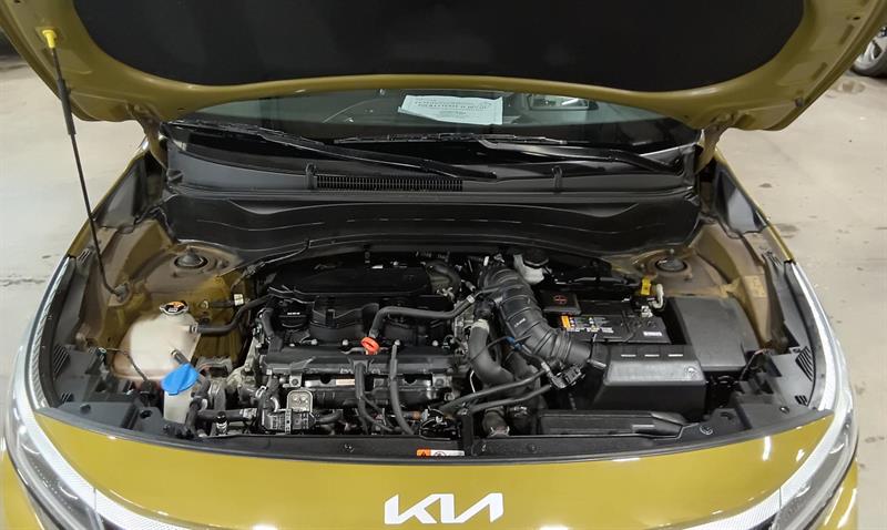 kia Seltos 2024 - 14