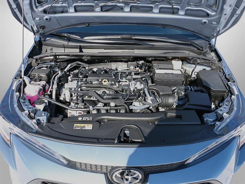 2026 Toyota Corolla - Image 6