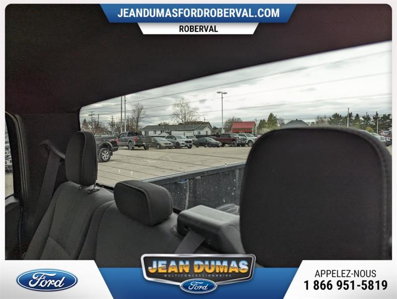ford F-150 2019 - 10