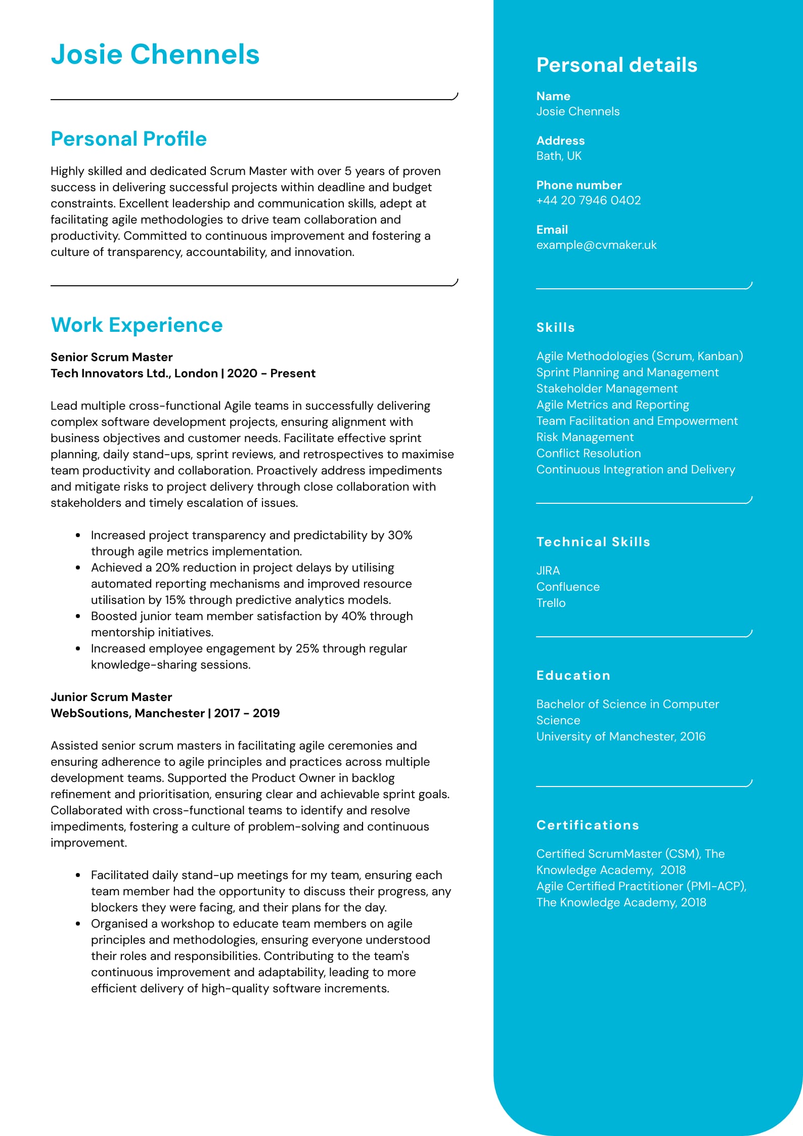 Scrum. master CV sample