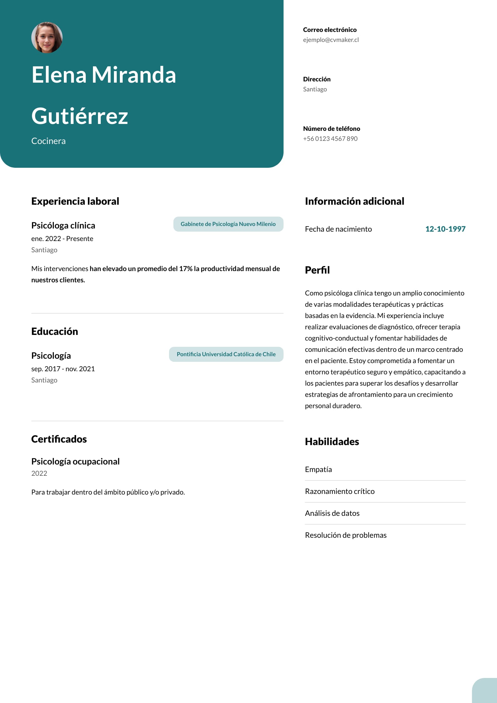 Modelo de curriculum vitae sencillo