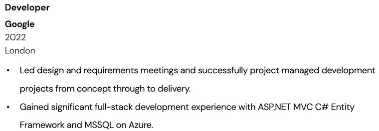 Developer cv voorbeeld