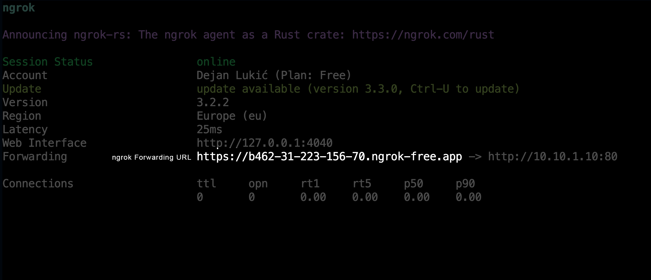 ngrok Forwarding URL shown inside a terminal window