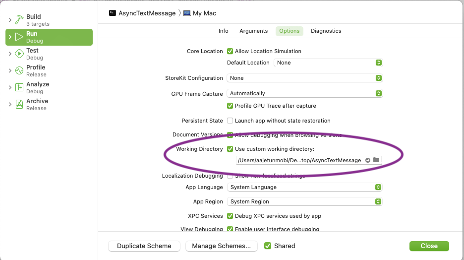 Setting custom working directory