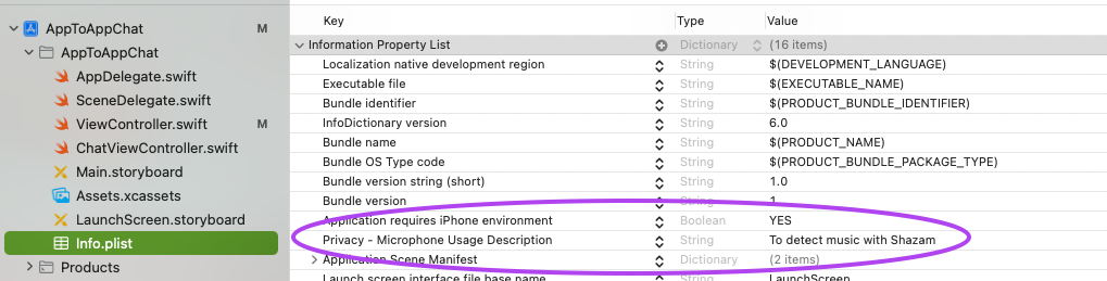 Info.plist after adding microphone permissions