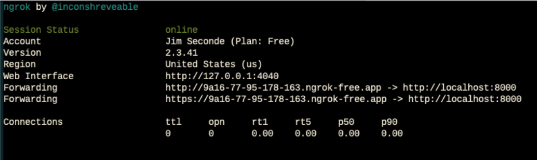 Screenshot of ngrok running on the command line