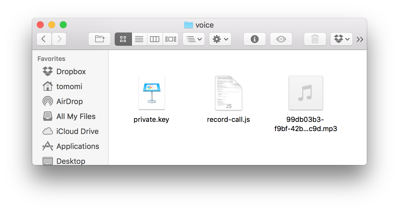 Nexmo Voice API - audio file download