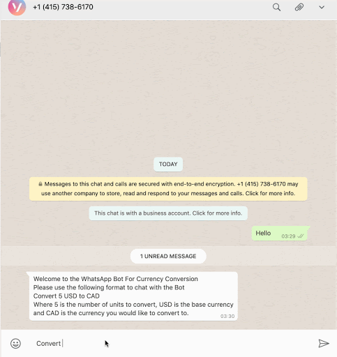 Interacting with the finished bot