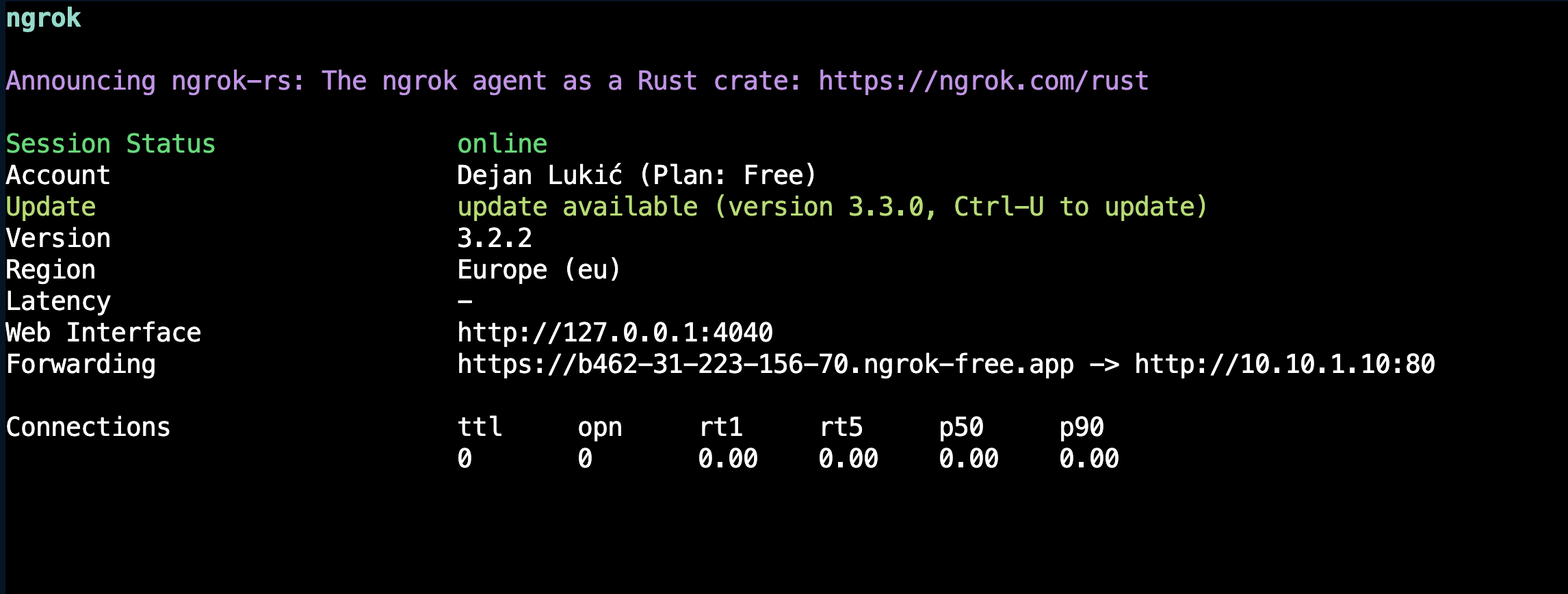 ngrok CLI Tunnel information shown inside a terminal window