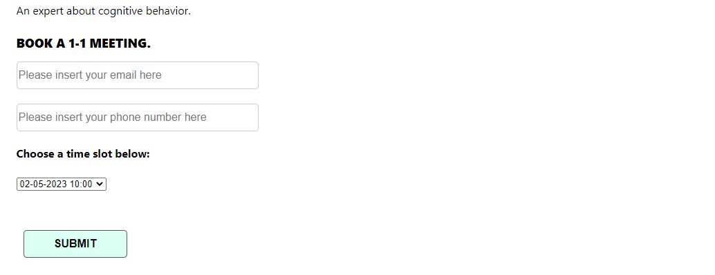 book-a-meeting-form.png