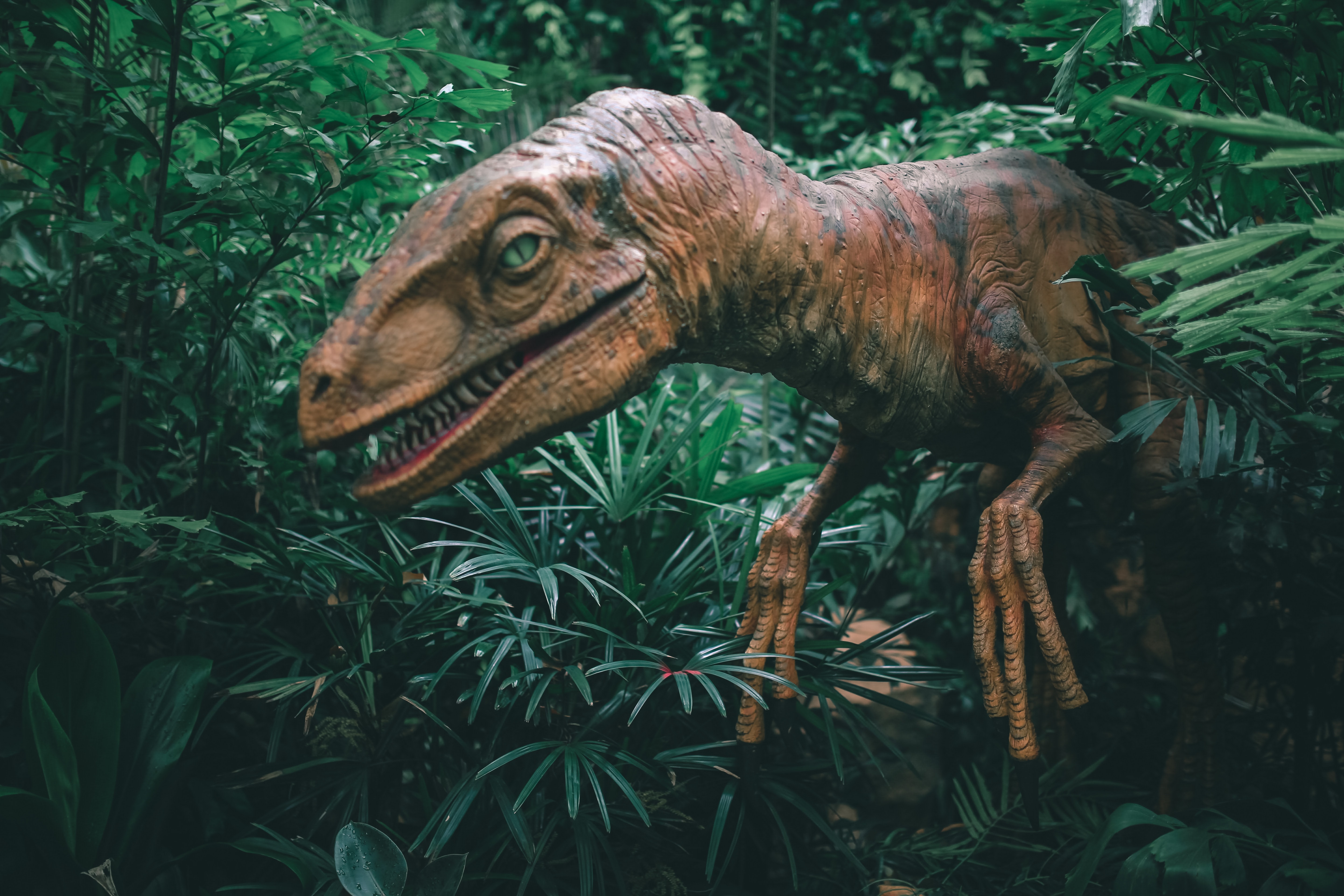 Dinosaurs roaming freely out of their pens!