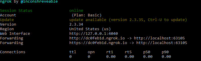 An example of ngrok running