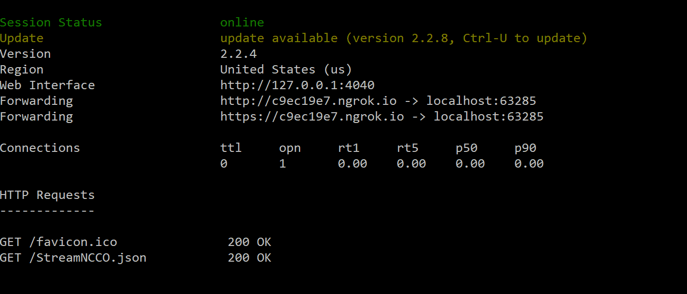 ngrok status