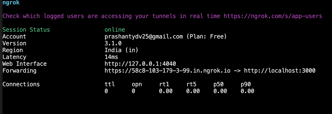 Ngrok CLI output