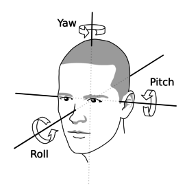 The yaw, pitch and roll angles in the human head motion.
