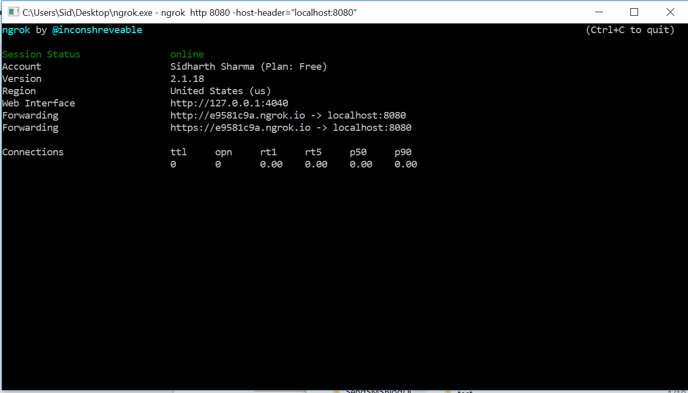 Example of Ngrok running