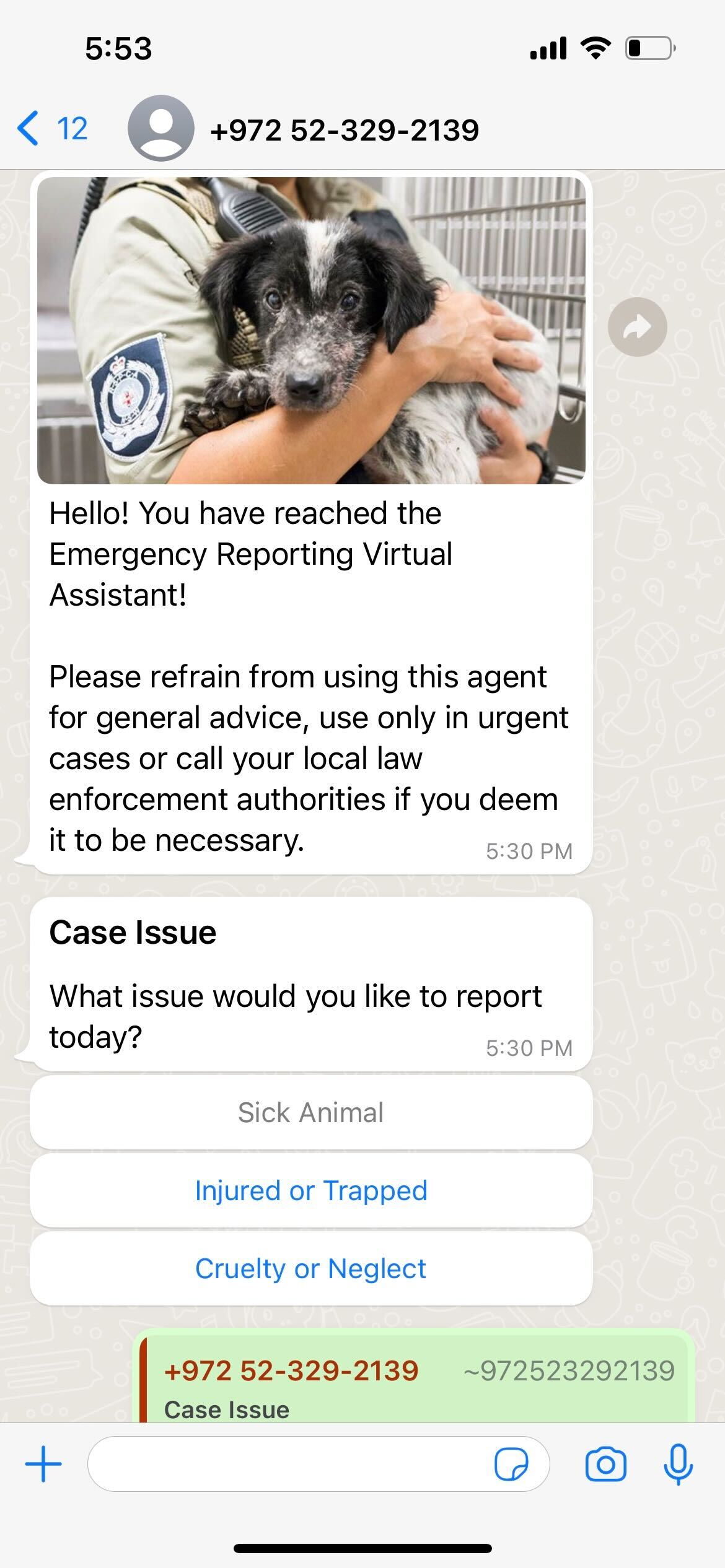 Screenshot of a WhatsApp conversations showing a Reply Button. The virtual agent asks a question 'What issue would you like to report today?' with the reply button options 'Sick Animal', 'Injured or Trapped', and 'Cruelty or Neglect'