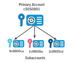 primary account image