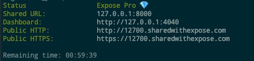 Screenshot of Expose running on the command line