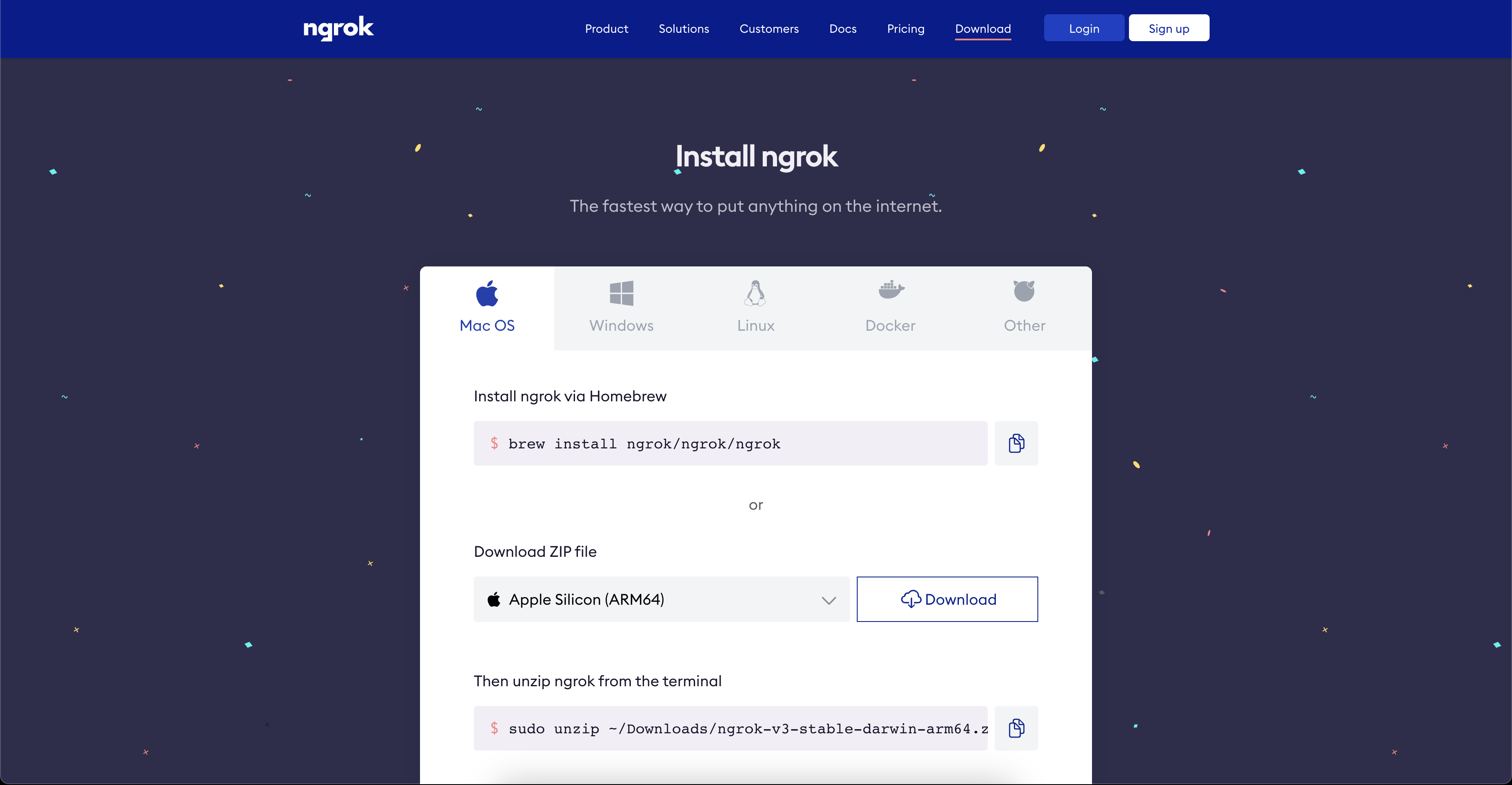 ngrok Download Page