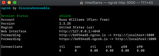 An image example of Ngrok running