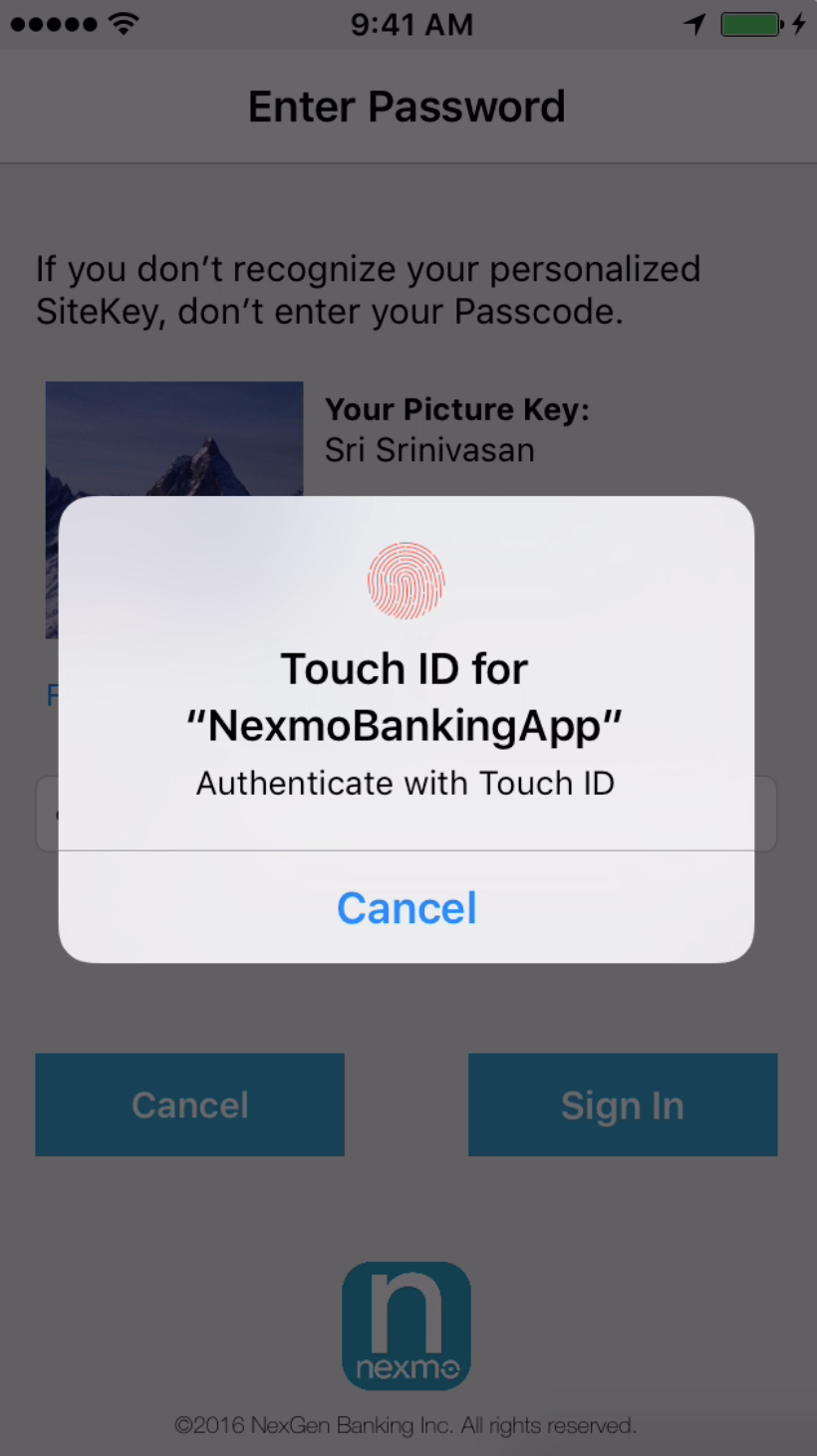 Touch ID requested