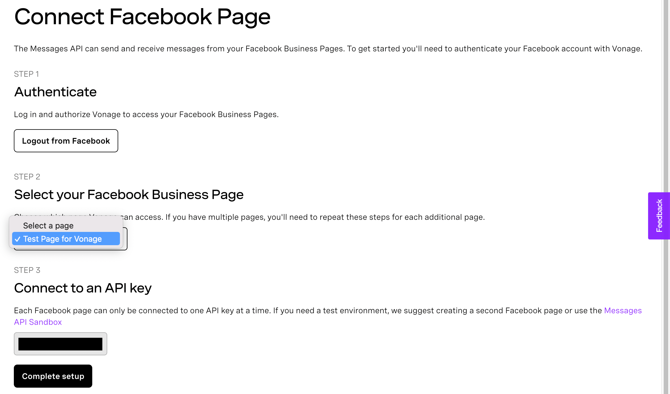 Screen shot of Connect Facebook Page where the page can be selected.