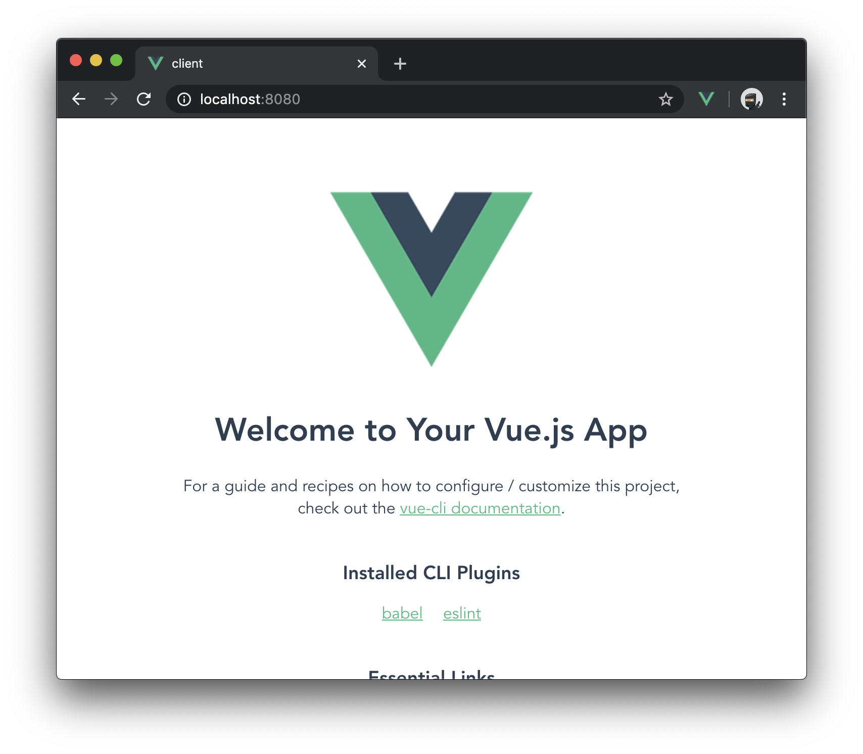 Screenshot of a basic Vue.js client running