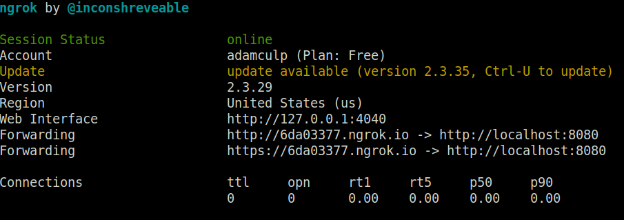ngrok information returned