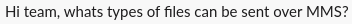 Slack screenshot showing the message "Hi team, what types of files can be sent over MMS?"