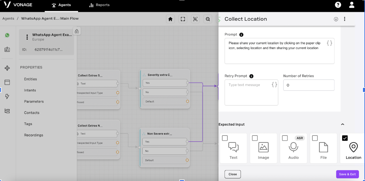 Screenshot of AI Studio Collect Input node with a Location message type selected