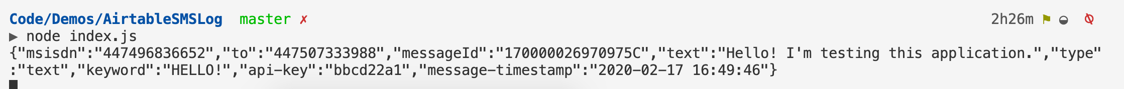 API call data displayed in the terminal