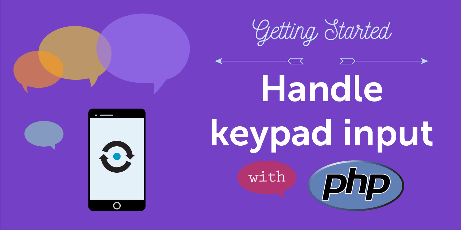 https://s3.amazonaws.com/a.storyblok.com/f/270183/69402/b55c35205b/keypad-input-php.png