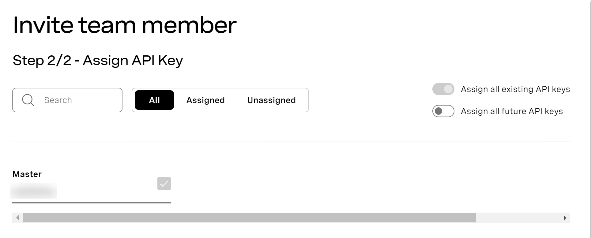 Invite Team Members - API Key