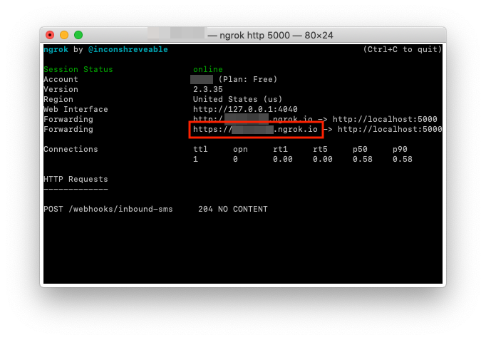 An example of an ngrok instance running