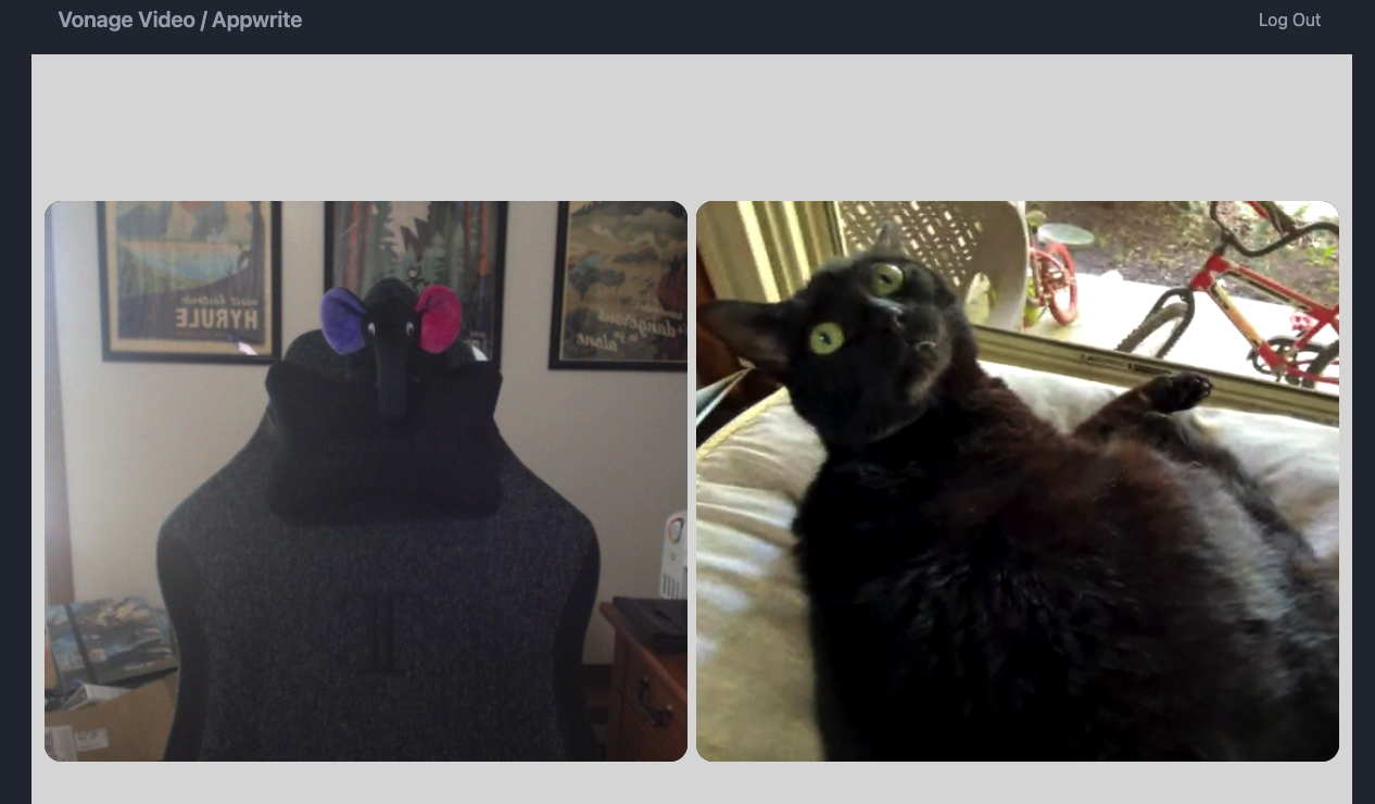The Video Conference