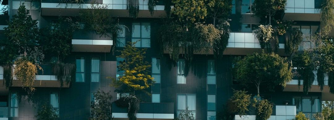 Census Block Group Image