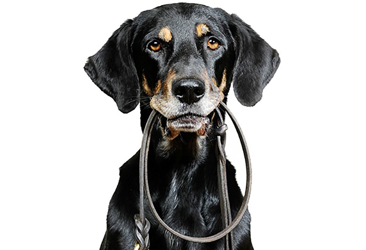 75 Ways to Fit in Fitness